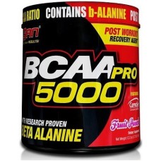 SAN BCAA-Pro 5000 Aspartame Free (340гр)