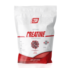 Креатин 2SN Creatine Monohydrate 500гр