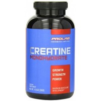 Prolab Creatine Monohydrate Powder (300гр)