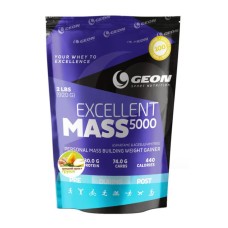 GEON Excellent MASS 5000 (920гр)