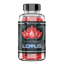 Reg Pharm Lotus Black (90капс)