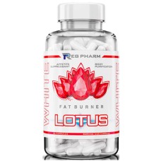 Reg Pharm Lotus White (90капс)