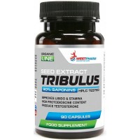 WESTPHARM Tribulus 60капс