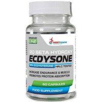 WESTPHARM Ecdysone 60капс